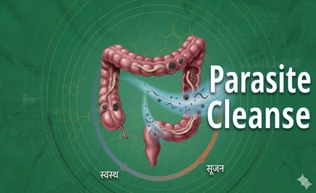 पैरासाइट क्लीन्स